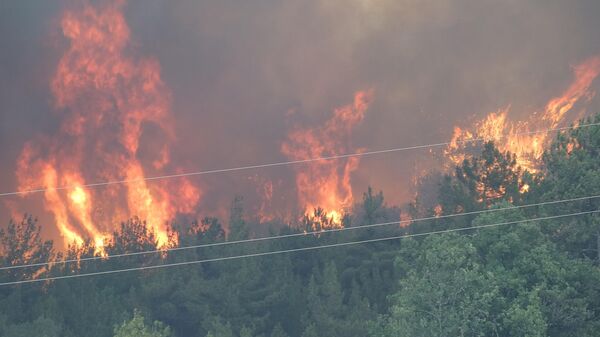 Karabük'ün Safranbolu ve Ovacık  - Sputnik Türkiye