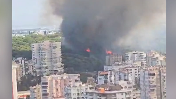 Antalya'da orman yangını - Sputnik Türkiye