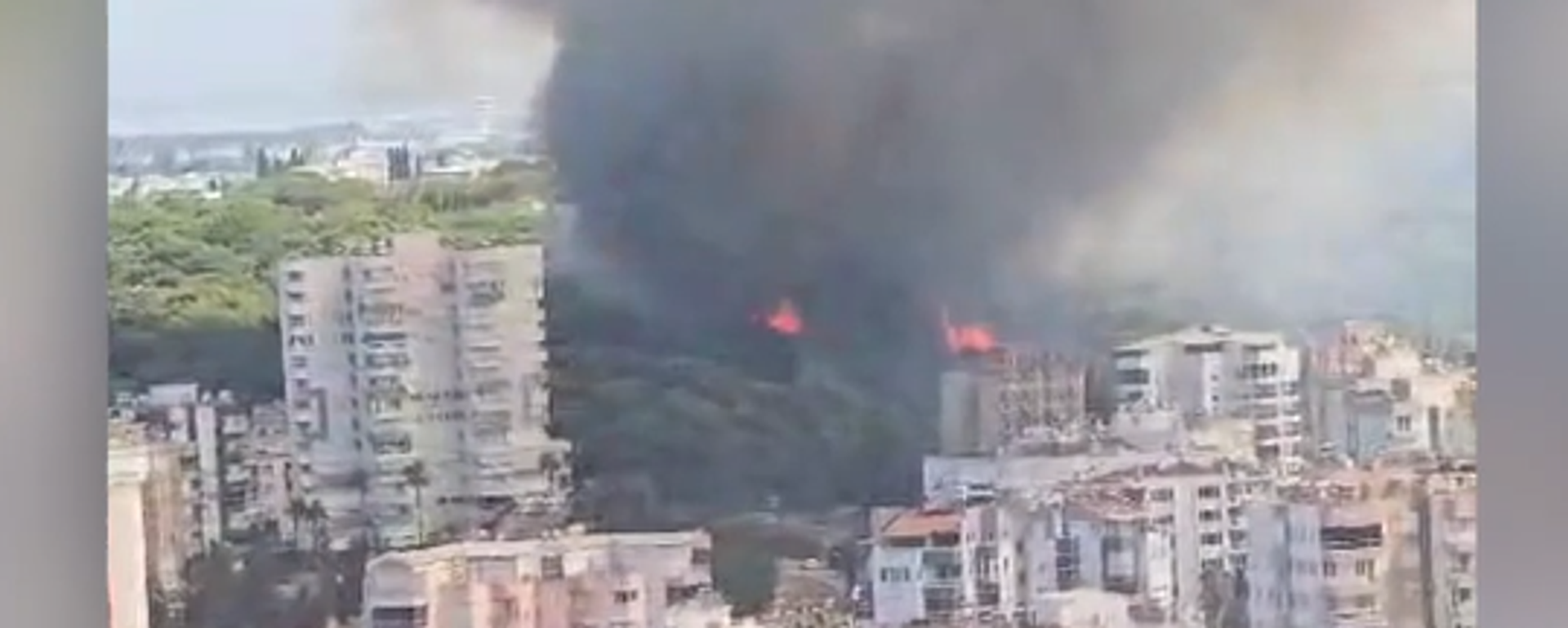 Antalya'da orman yangını - Sputnik Türkiye, 1920, 25.07.2025