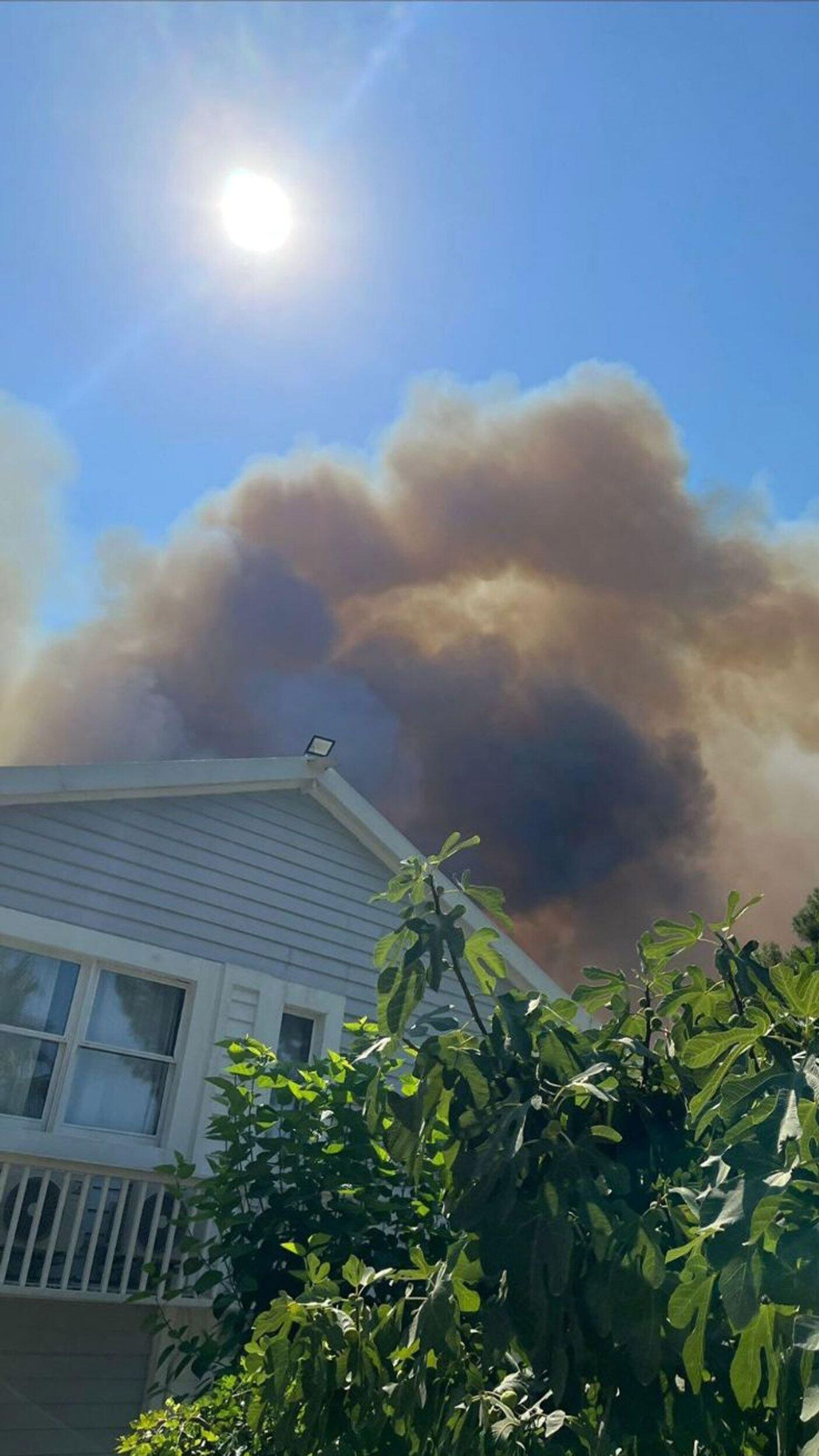 Arzu Acay sosyal medya  - Sputnik Türkiye, 1920, 25.07.2025