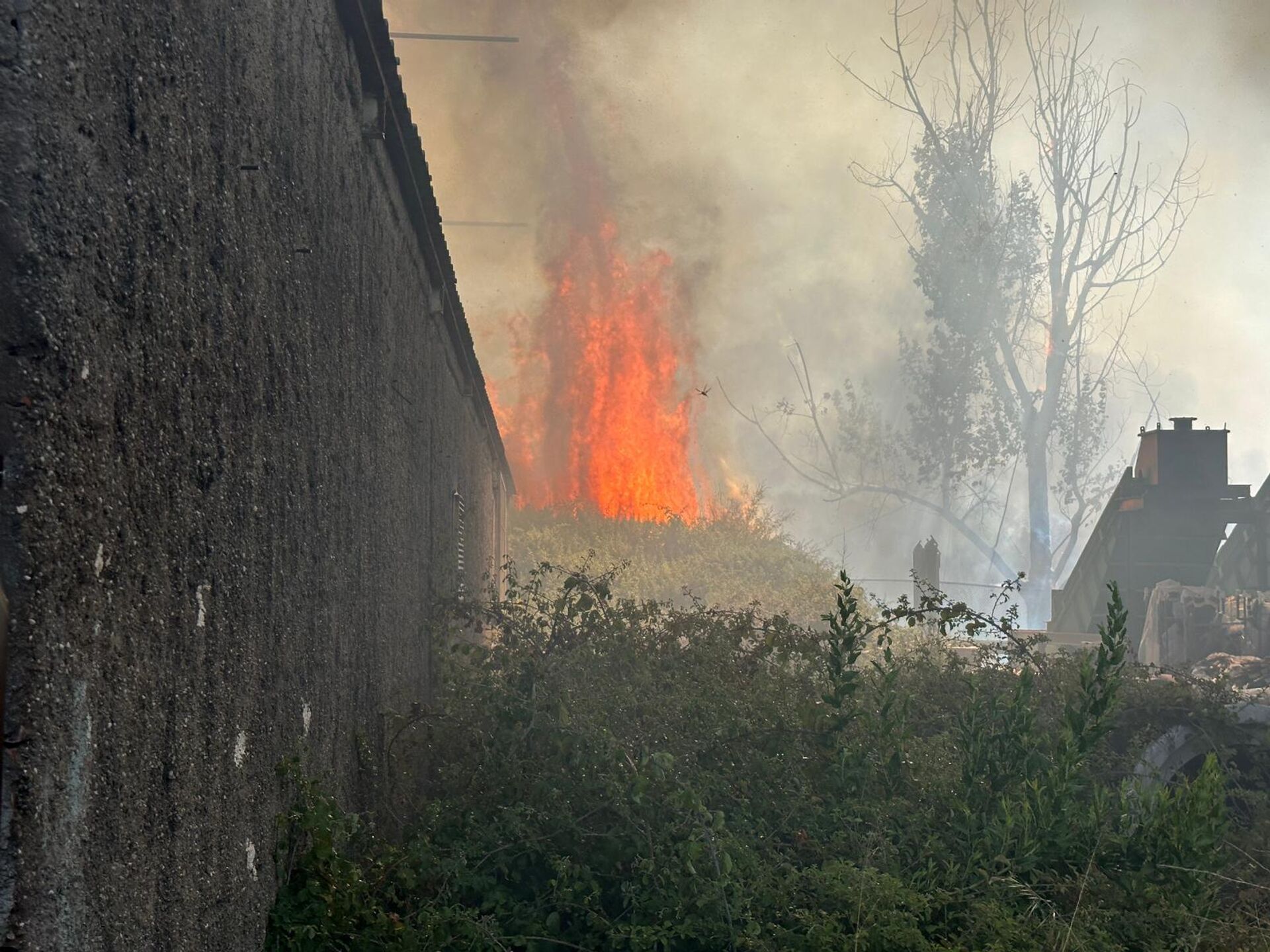 Aksu'da iş yerlerine sıçradı - Sputnik Türkiye, 1920, 25.07.2025