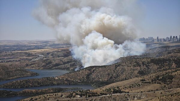 Ankara’da Eymir Gölü çevresindeki ormanlık alanda yangın çıktı. - Sputnik Türkiye