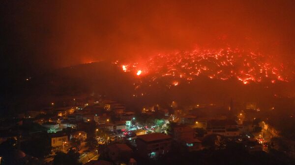 Bursa  - Sputnik Türkiye