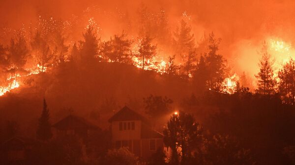 Karabük'teki yangın - Sputnik Türkiye