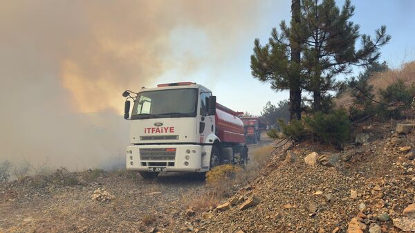 Bursa'daki orman yangını ve itfaiye - Sputnik Türkiye