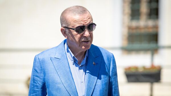 Cumhurbaşkanı Recep Tayyip Erdoğan - Sputnik Türkiye