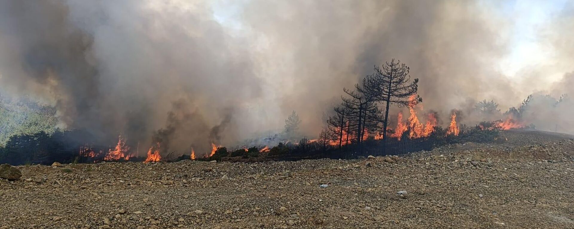 Bursa Orhaneli'nde yangın  - Sputnik Türkiye, 1920, 30.07.2025