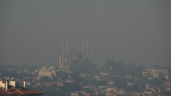 Bulgaristan Edirne sınırında yangın - Sputnik Türkiye