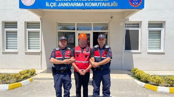 Bursa'nın Gürsu ile Kestel ilçeleri arasında çıkan orman yangını bölgesinde arama kurtarma personeli kıyafeti giymiş 105 suç kaydı bulunan şüpheli yakalandı - Sputnik Türkiye