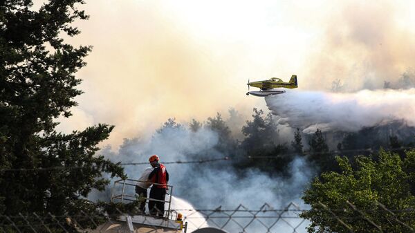 Orman yangını - Sputnik Türkiye