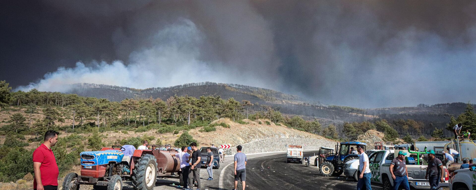 Bursa'nın Orhaneli ilçesindeki orman yangını - Sputnik Türkiye, 1920, 28.07.2025