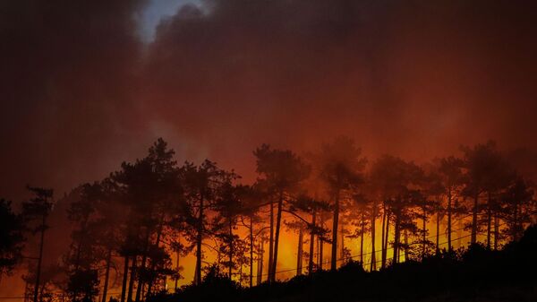 Bursa'nın Orhaneli ilçesinde orman yangını - Sputnik Türkiye