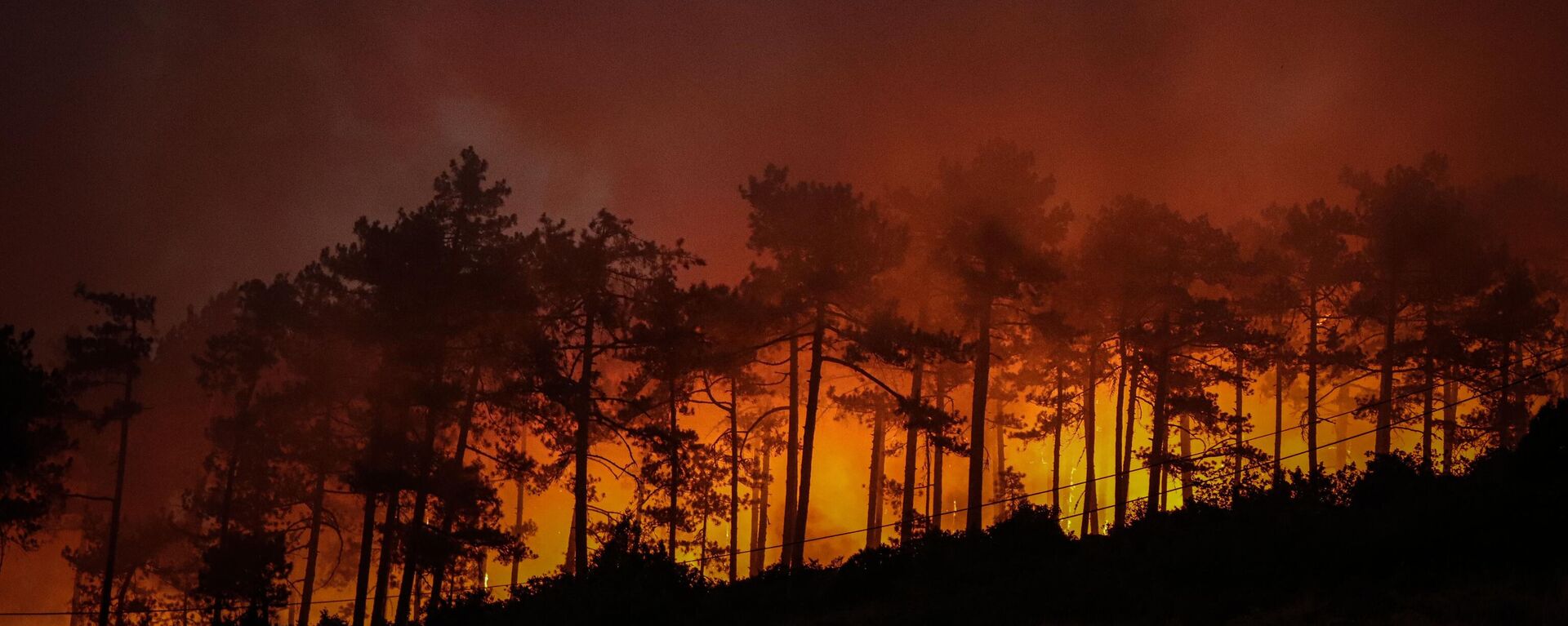 Bursa'nın Orhaneli ilçesinde orman yangını - Sputnik Türkiye, 1920, 28.07.2025