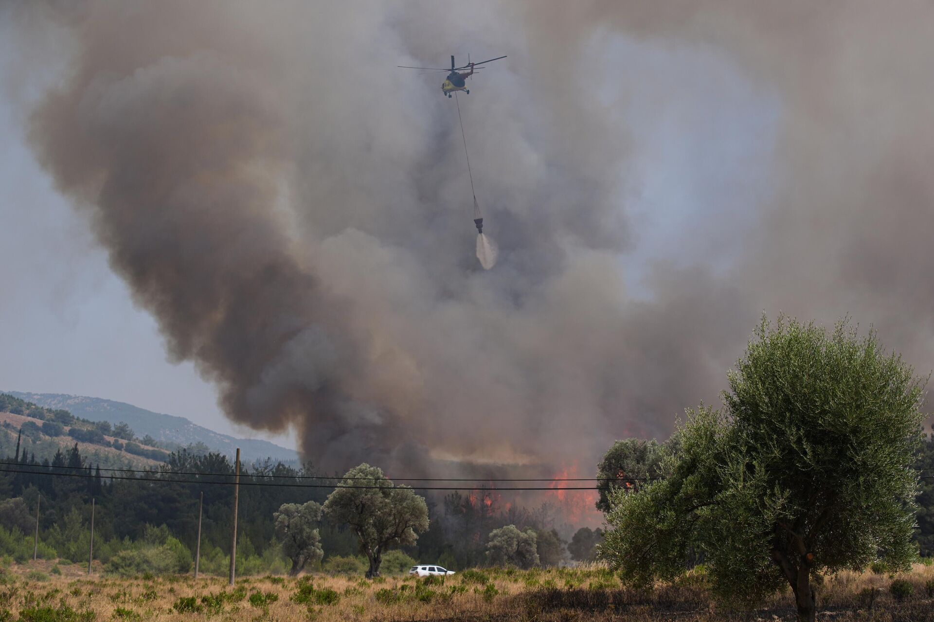 Bornova - Sputnik Türkiye, 1920, 28.07.2025