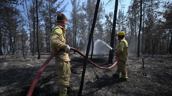 Orman yangınına Orman Genel Müdürlüğü ekipleri müdahale ediyor - Sputnik Türkiye