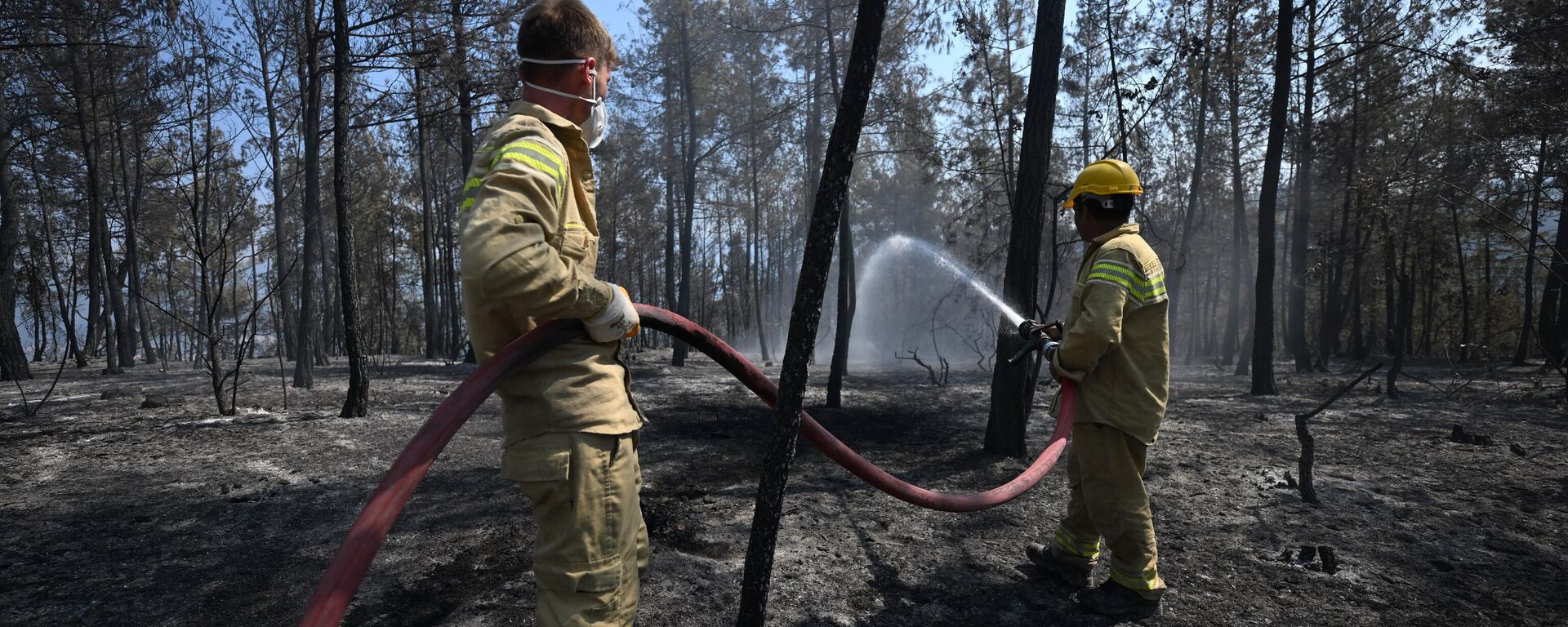 Orman yangınına Orman Genel Müdürlüğü ekipleri müdahale ediyor - Sputnik Türkiye, 1920, 28.07.2025