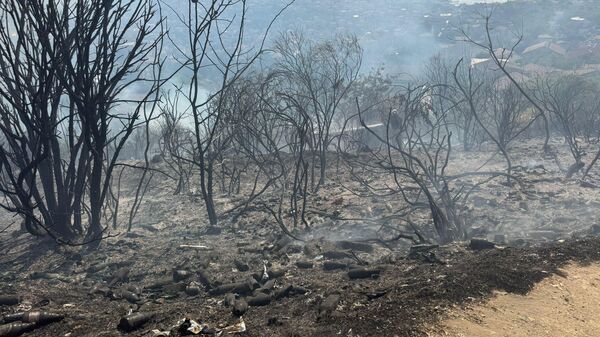 Beykoz'da ormanlık alanda çıkan yangın itfaiye ekiplerinin müdahalesiyle söndürüldü.
 - Sputnik Türkiye