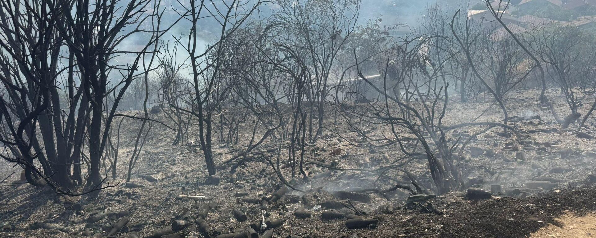 Beykoz'da ormanlık alanda çıkan yangın itfaiye ekiplerinin müdahalesiyle söndürüldü.
 - Sputnik Türkiye, 1920, 29.07.2025