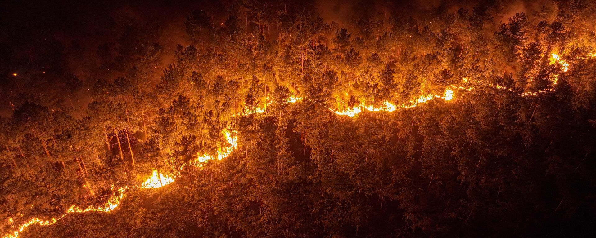 Bursa'da Orhaneli ile Harmancık hattındaki orman yangınına müdahale sürüyor - Sputnik Türkiye, 1920, 30.07.2025