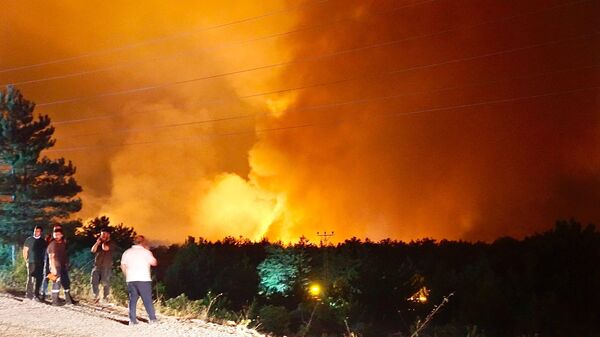 Karabük'te çıkan orman yangını - Sputnik Türkiye