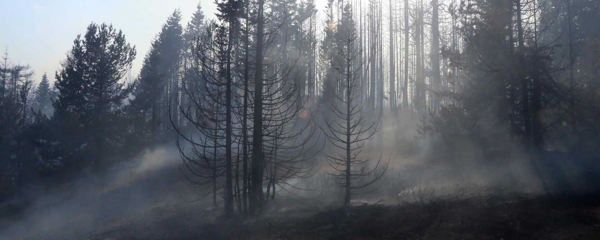 Çankırı yangın - Sputnik Türkiye, 1920, 29.07.2025