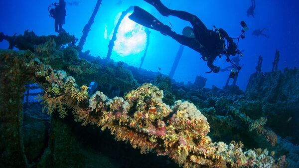 Kızıldeniz'deki Big Brother Adaları, dalış tutkunlarını ağırlıyor - Sputnik Türkiye