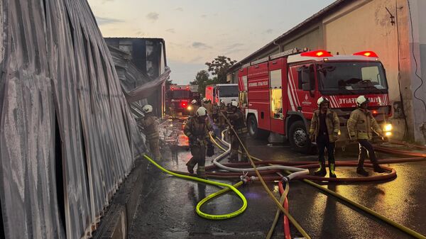 Yangın - Sputnik Türkiye