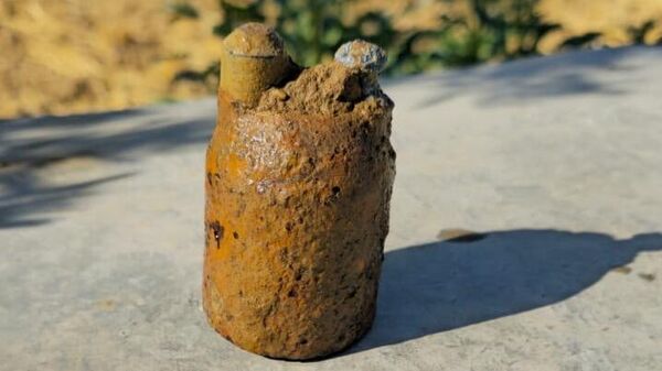 Top Mermisi - Sputnik Türkiye