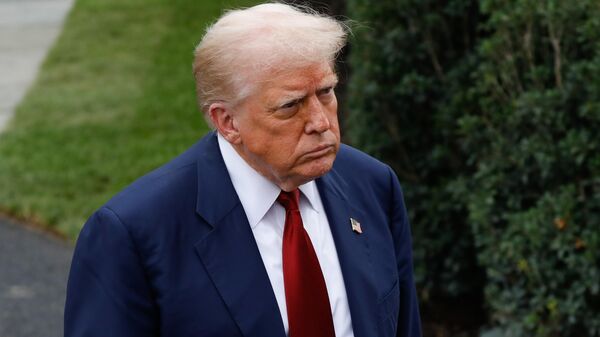 ABD Başkanı Donald Trump - Sputnik Türkiye