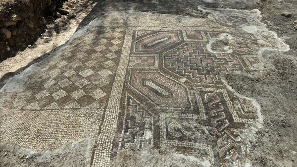 Diyarbakır'da mezar kazarken Geç Roma dönemine ait mozaik bulundu - Sputnik Türkiye