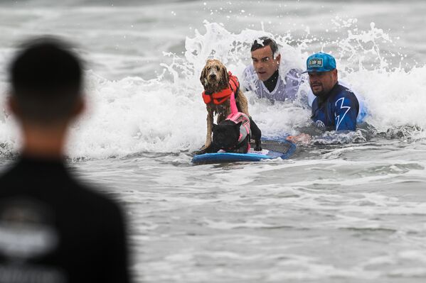 İzleyiciler kötü havaya aldırmaksızın yarışmayı takip etti.  - Sputnik Türkiye