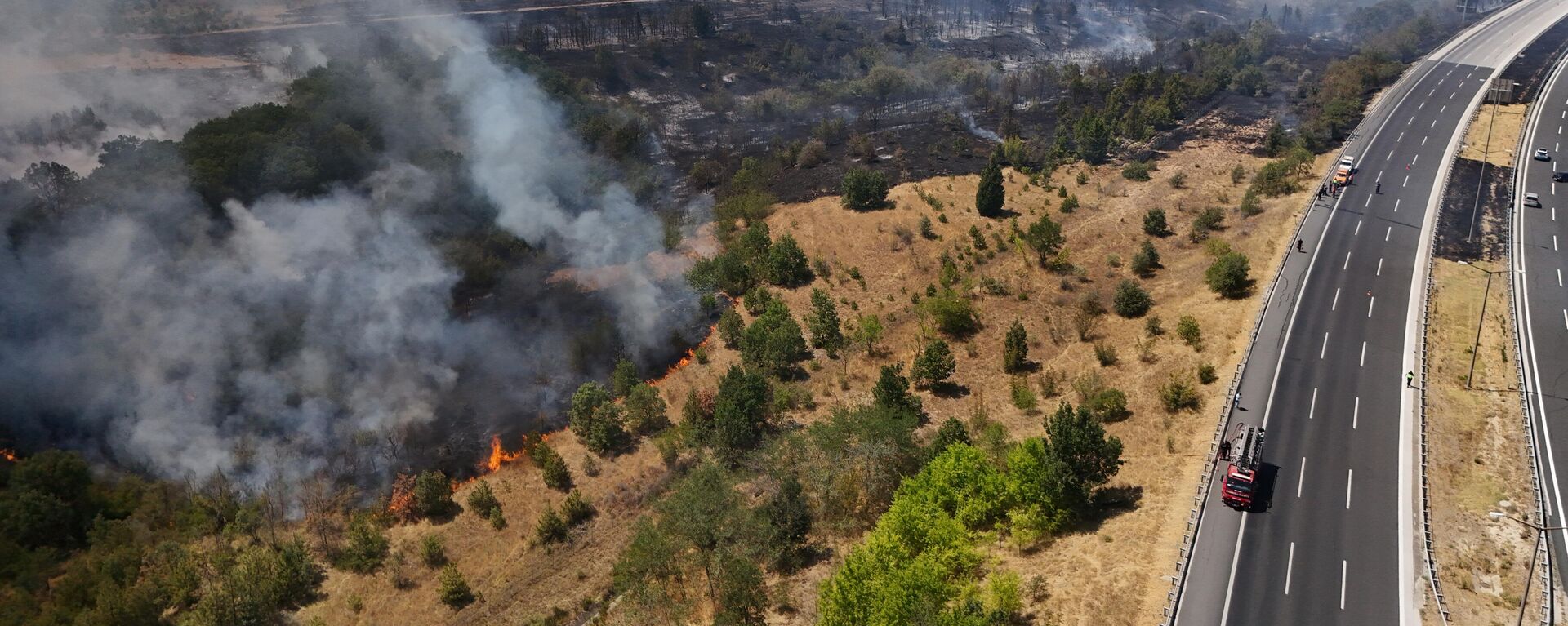 Kırklareli'nde ağaçlık alanda yangın - Sputnik Türkiye, 1920, 04.08.2025