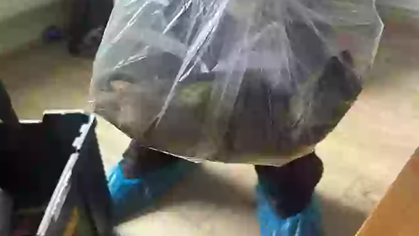 İngiltere’de bir evde 55 santimetre köpek Büyüklüğünde fare bulundu: Belediye alarmda - Sputnik Türkiye