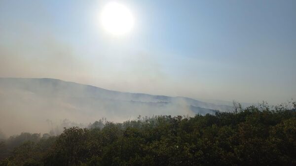 Balıkesir'in Bigadiç ilçesinde arazide çıkan yangın söndürülmeye çalışılıyor. - Sputnik Türkiye