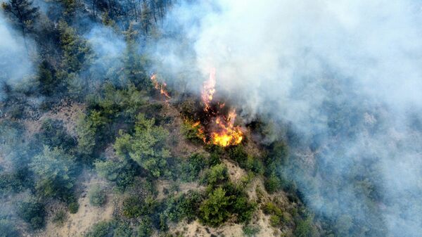 Karabük yangın - Sputnik Türkiye