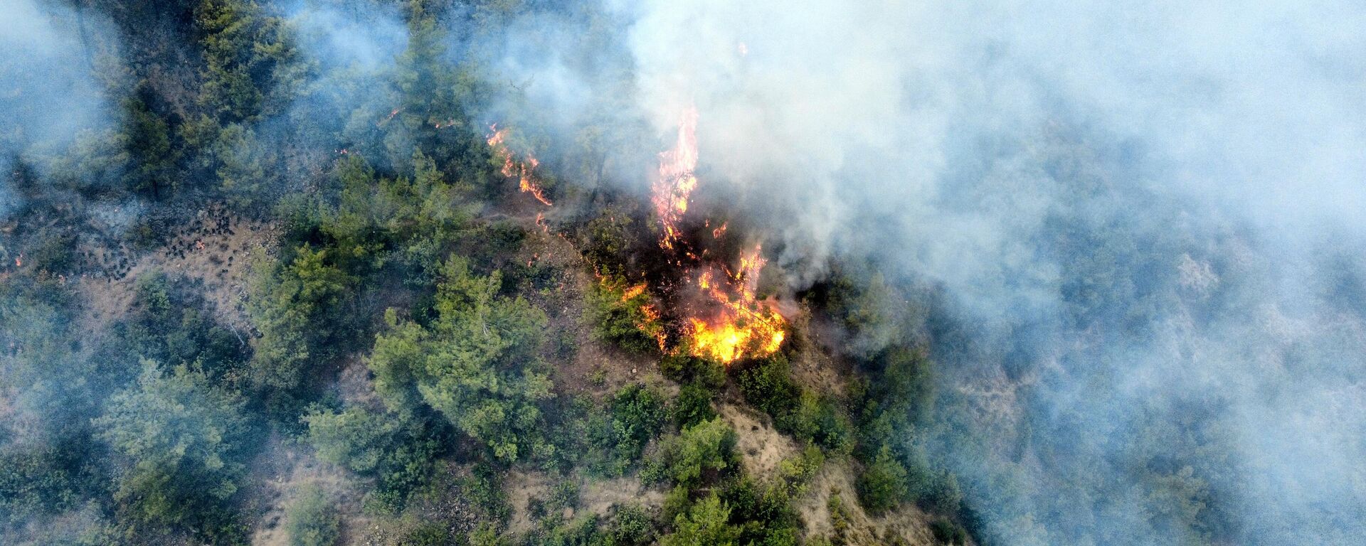 Karabük yangın - Sputnik Türkiye, 1920, 05.08.2025