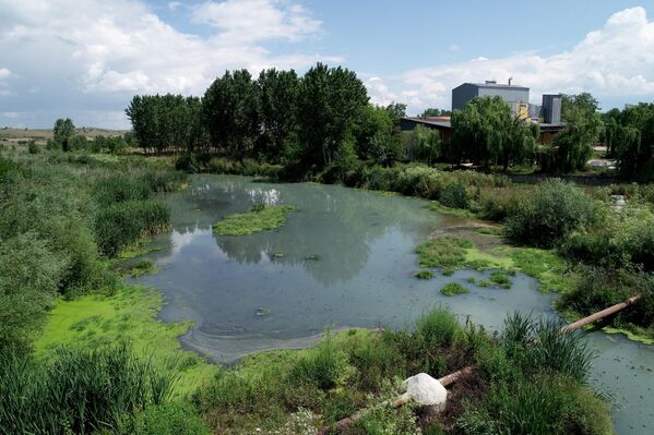 Bu fotoğraf, Haziran 2020&#x27;de Teke Deresi&#x27;nin kirlilikten dolayı gri ve beyaz renge bürünmesi üzerine çekilmişti. - Sputnik Türkiye