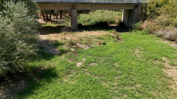 Merkeze bağlı Kayalı köyündeki Teke Deresi&#x27;nin su seviyesi yaz başından bu yana geriledi. - Sputnik Türkiye