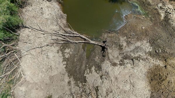 Sıcaklıkların zaman zaman 40 dereceye ulaştığı bölgede son günlerde dereden su akmaz oldu. - Sputnik Türkiye