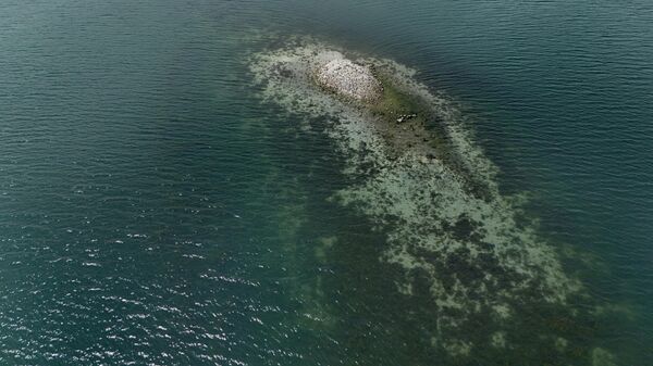 Sapanca Gölü'nde kritik 10 santimetre: Düşüş devam ederse su tüketimleri takip edilecek - Sputnik Türkiye