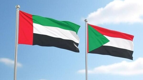 BAE havaalanları Sudan uçuşlarını kabul etmeme kararı aldı - Sputnik Türkiye