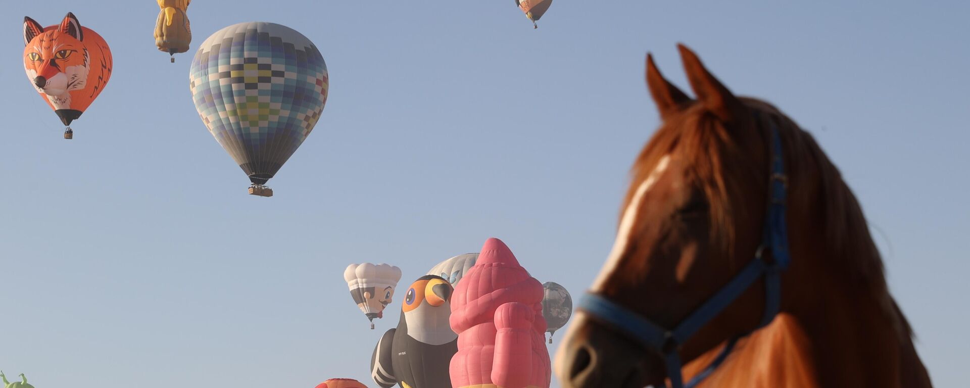 Kapadokya'da figürlü sıcak hava balonları gösteri uçuşu yaptı - Sputnik Türkiye, 1920, 07.08.2025