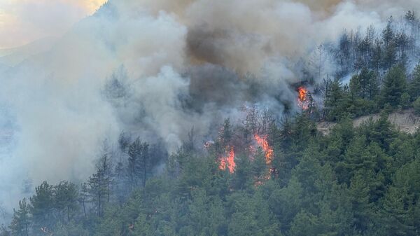 Karabük'te ormanlık alanda yeniden yangın çıktı - Sputnik Türkiye