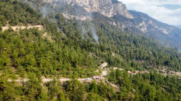 Ekiplerin yüksek ve eğimli bölgede etkili olan alevlere müdahalesi 31 saatin ardından sona erdi. - Sputnik Türkiye