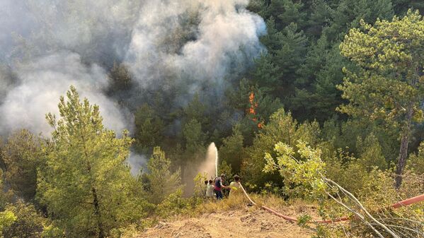 Merkeze bağlı Arıcak köyü mevkisindeki ormanlık alanda alevler yeniden yükseldi.  - Sputnik Türkiye