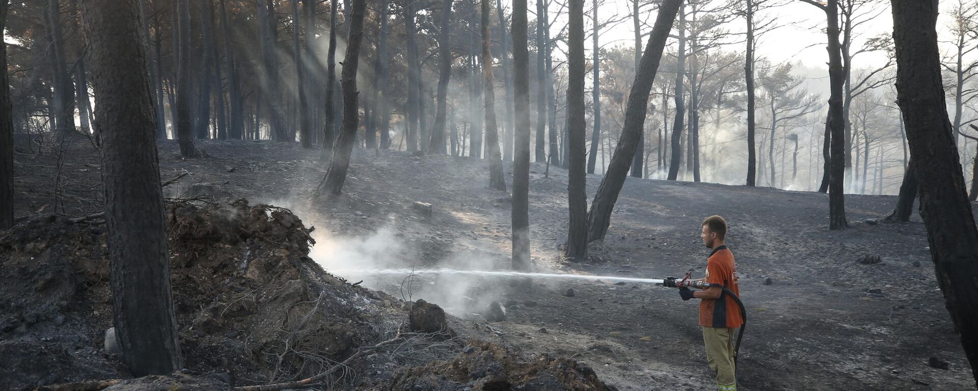 Çanakkale orman yangını - Sputnik Türkiye, 1920, 09.08.2025