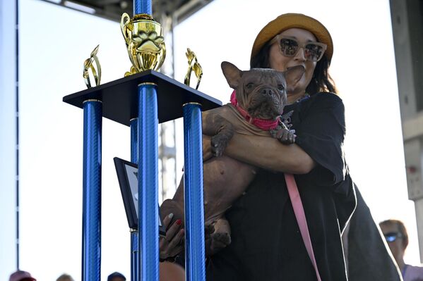 Etkinlikte, sıradışı görünümüyle dikkat çeken köpekler bir araya gelirken, jüri tarafından yapılan değerlendirme sonucunda ‘Petunia’ isimli köpek birinciliğe layık görüldü. - Sputnik Türkiye