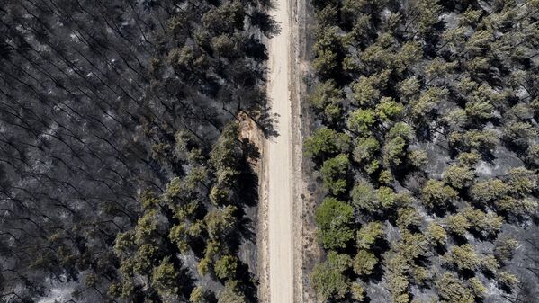 Tarım ve Orman Bakanı İbrahim Yumaklı&#x27;nın sabah saaterinde yaptığı açıklamada, Çanakkale’nin Sarıcaeli köyü ve Bayramiç ilçesindeki iki yangının büyük oranda kontrol altını alındığı ve yangınlarla ilişkili 4 kişinin gözaltına alındığını belirtmişti. - Sputnik Türkiye