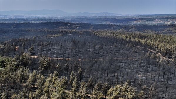 Orman Genel Müdürü Bekir Karacabey ve Çanakkale Orman Bölge Müdürü Enver Demirci, yangında zarar gören alanı helikopterden inceledi. - Sputnik Türkiye