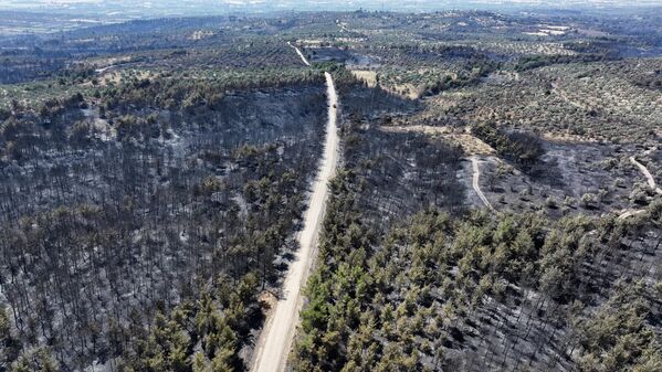 Çanakkale merkez ve Bayramiç ilçesinde çıkan ve büyük ölçüde kontrol altına alınan yangından etkilenen ormanlık alan helikopterden görüntülendi. - Sputnik Türkiye